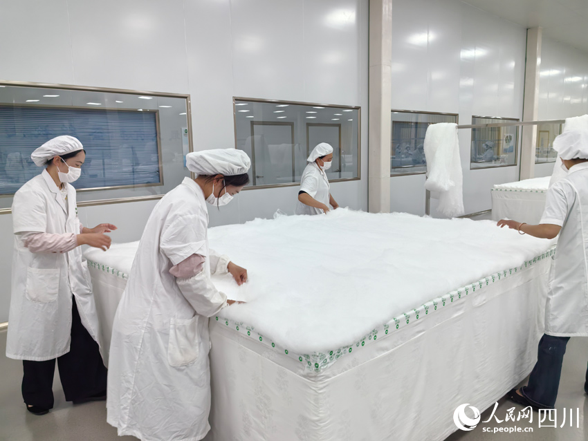 丝路”：盯住小桑叶发展大思路开元棋牌app南丝路上“南(图2)