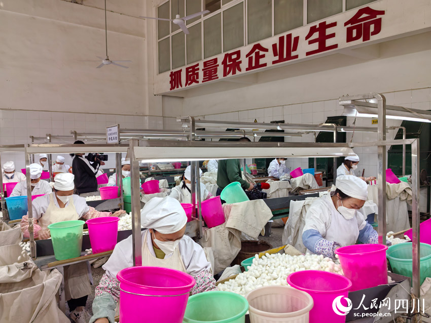 丝路”：盯住小桑叶发展大思路开元棋牌app南丝路上“南(图6)
